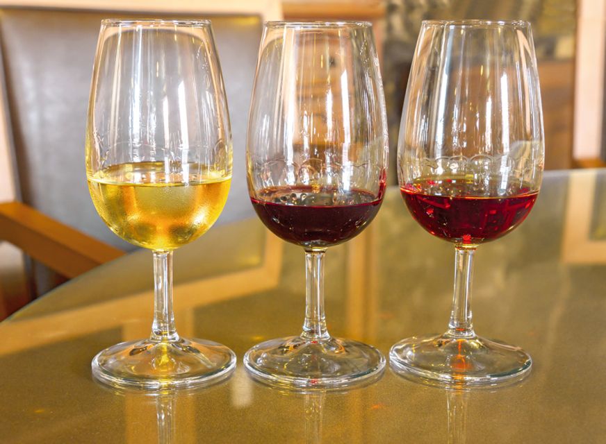 Porto: City Tour, 6 Bridges Cruise and Wine Tasting - Guides make the difference