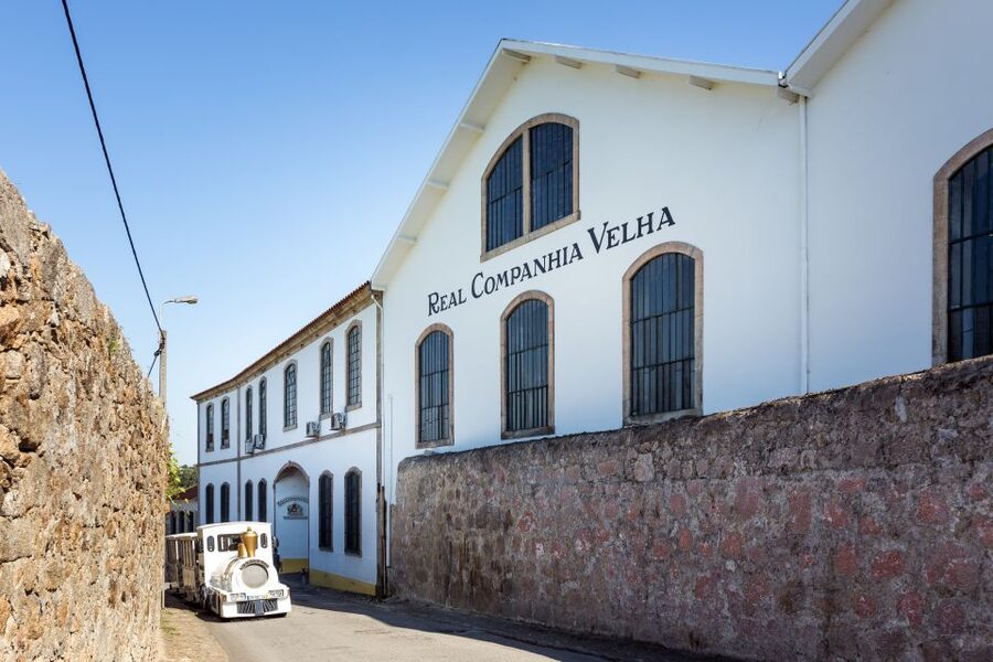 Porto: City Train Tour, River Cruise & Wine Cellar - Returning by train and finding Ribeira