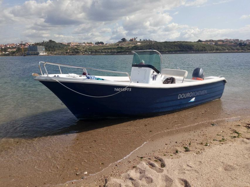 Porto: Douro River Cruise w/ Portuguese Wines & Local Host - Who will enjoy this most