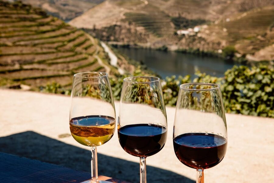Porto: Douro Valley & Amarante Wine, Food & River Tour - Key points to know before booking
