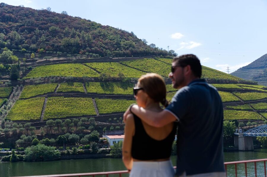 Porto: Douro Valley & Amarante Wine, Food & River Tour - First viewpoints and the famous N222