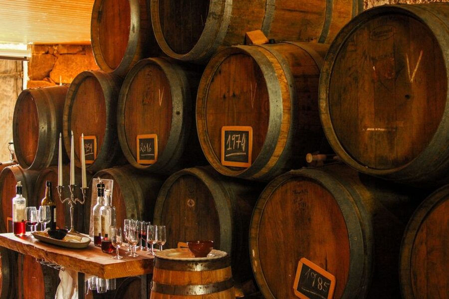 Porto: Douro Valley History & Wine Tour with Cruise & Lunch - Who should book this day