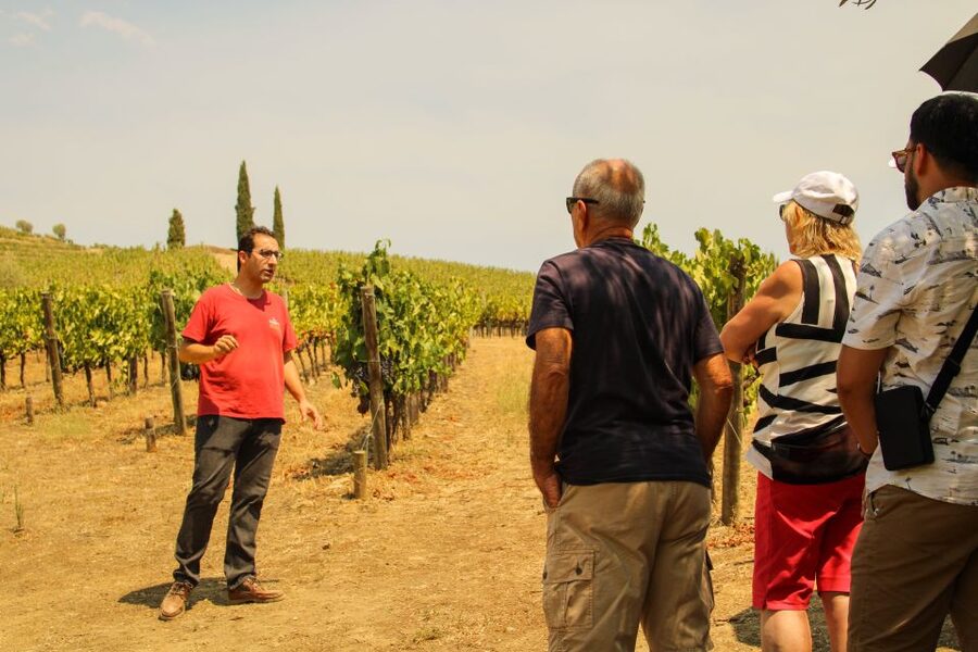 Porto: Douro Valley History & Wine Tour with Cruise & Lunch - São Leonardo da Galafura puts the valley in perspective