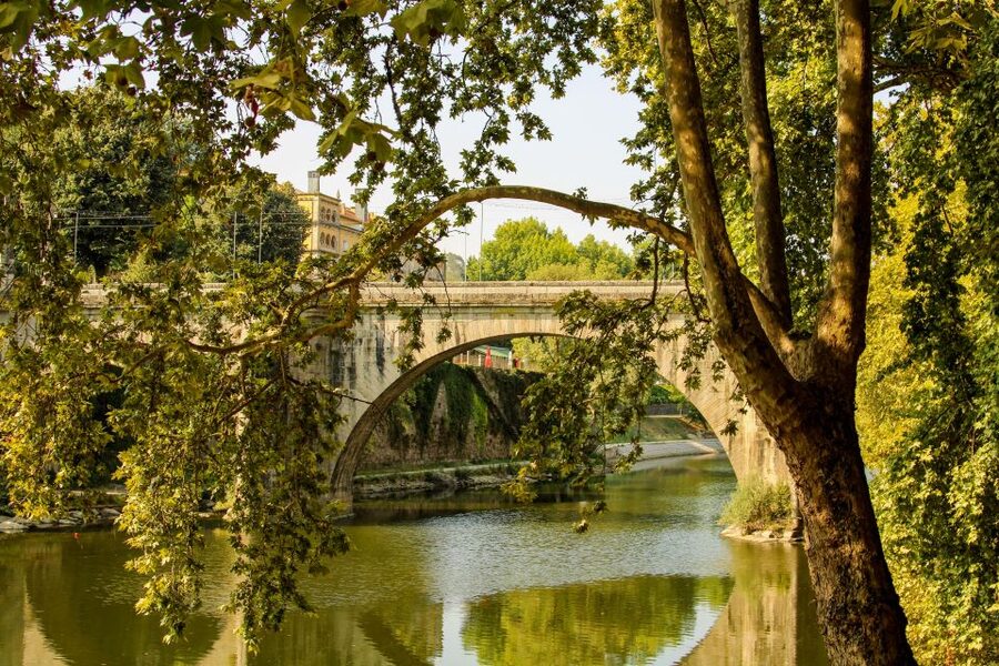 Porto: Douro Valley History & Wine Tour with Cruise & Lunch - The long ride back is part of the bargain