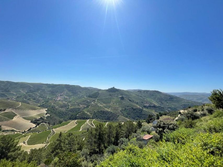 Porto: Douro Valley Tour with 2 Wineries, Lunch and Cruise - Why this Douro day trip works so well