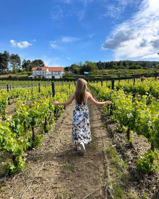 Porto: Douro Valley Tour with 2 Wineries, Lunch and Cruise - Who should book this experience