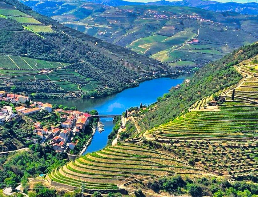 Porto: Douro Valley Tour with 2 Wineries, Lunch and Cruise - Lunch at a winery in Sabrosa