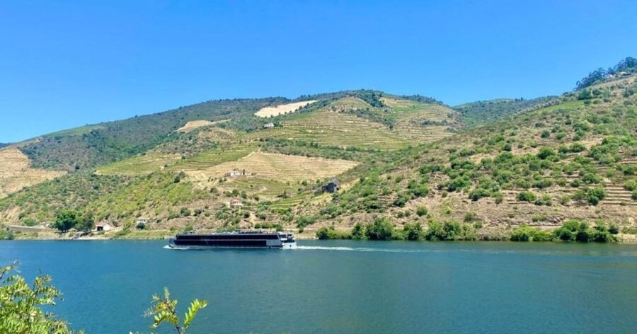Porto: Douro Valley Tour with 2 Wineries, Lunch and Cruise - The first winery and the story of Port