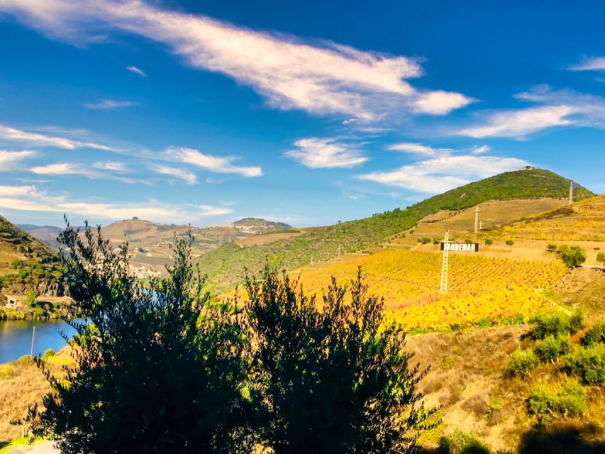 Porto: Douro Valley Tour with 2 Wineries, Lunch and Cruise - How the schedule feels over nine hours
