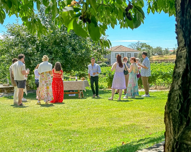 Porto: Douro Valley Tour with 2 Wineries, Lunch and Cruise - First views of the Douro Valley