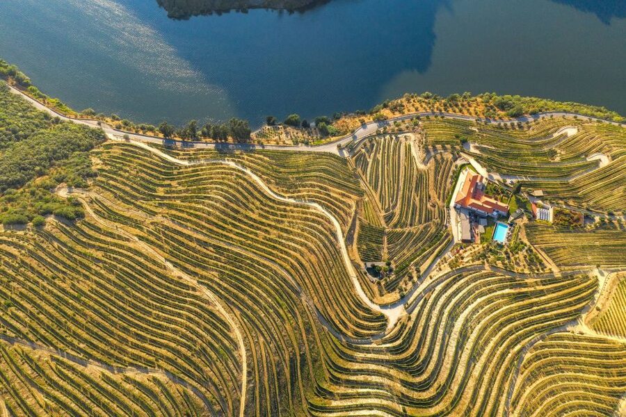 Porto: Douro Valley Tour with Wine Tasting, Cruise and Lunch - Second tasting and a different view of port