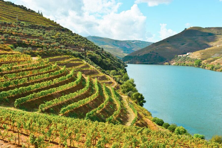 Porto: Douro Valley Tour with Wine Tasting, Cruise and Lunch - The Sabrosa photo stop and ride back