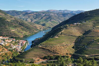 Douro Valley Wine Tour with a Sommelier & Boat Trip