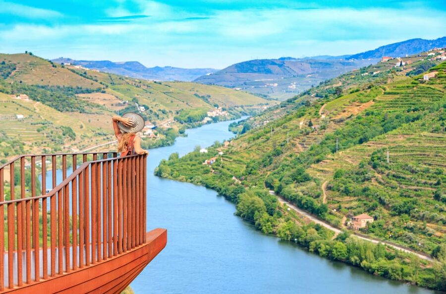 Porto: Douro Valley Wine Tour with a Sommelier & Boat Trip - Seeing the Douro from a boat