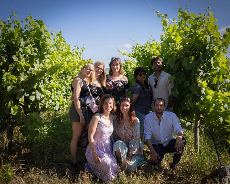 Porto: Douro Valley Wine Tour with a Sommelier & Boat Trip - Is $127 a fair price?
