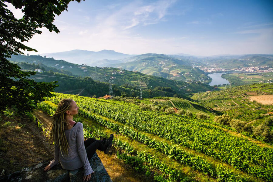 Porto: Douro Valley Wine Tour with a Sommelier & Boat Trip - The practical side of a 10-hour day