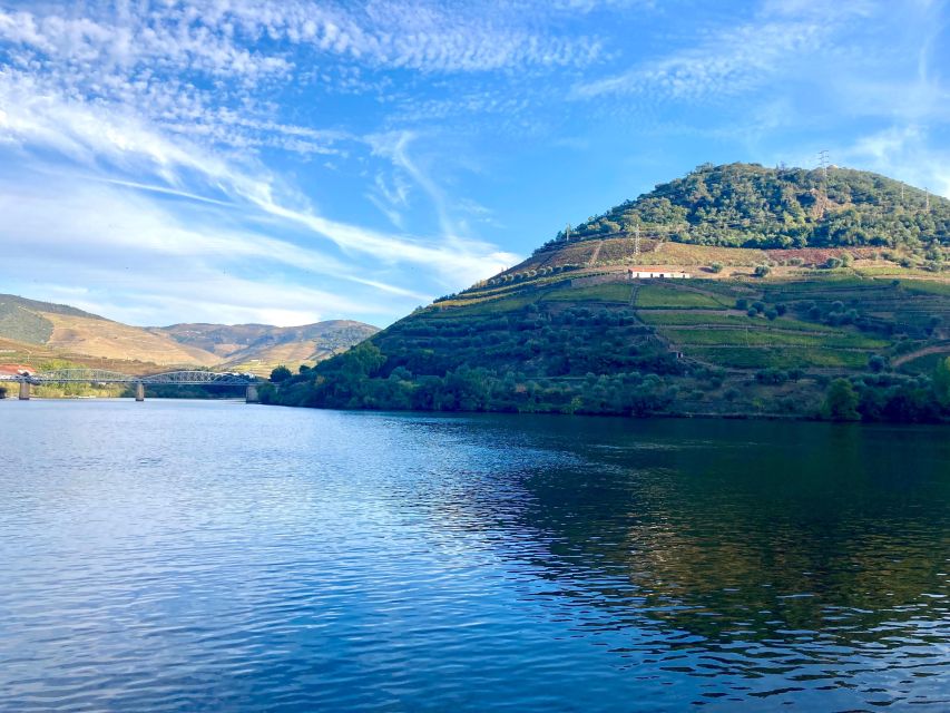 Porto: Douro Valley Wine Tour with Tastings, Boat, and Lunch - Who should book this day?