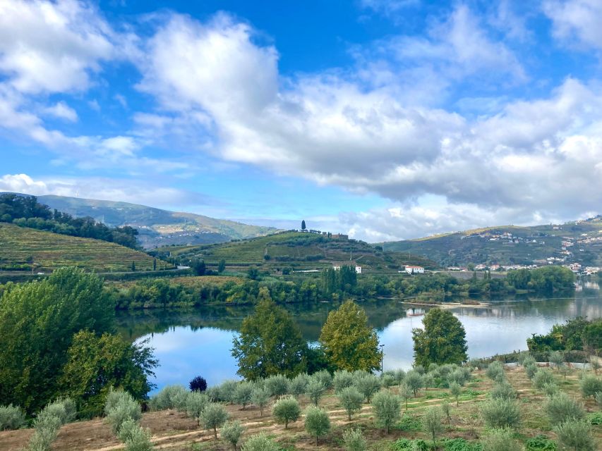 Porto: Douro Valley Wine Tour with Tastings, Boat, and Lunch - From Porto to the Douro in a small van