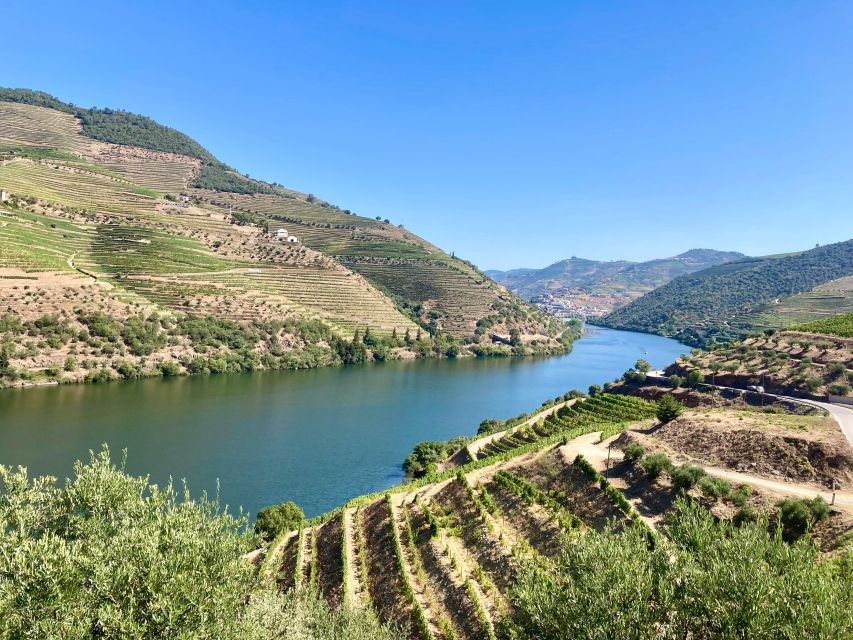 Porto: Douro Valley Wine Tour with Tastings, Boat, and Lunch - Learning how Port is made at the first winery