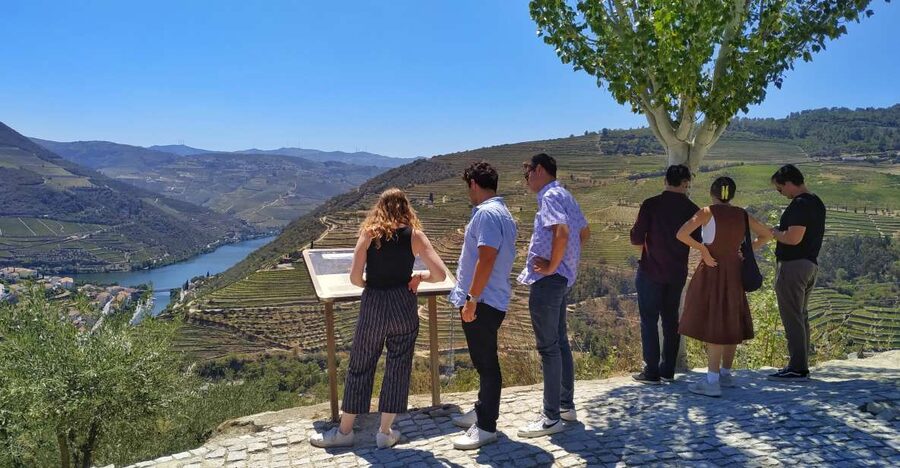 Porto: Douro Valley Wine Tour with Tastings, Boat, and Lunch - Douro DOC wines, Premium Port, and Vintage Port