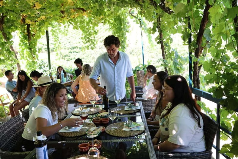 Porto: Douro Valley Wine Tour with Tastings, Lunch & Cruise - Who will enjoy this Douro Valley tour most