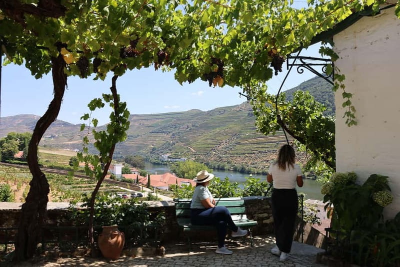 Porto: Douro Valley Wine Tour with Tastings, Lunch & Cruise - Family estates, olive oil, and local pours