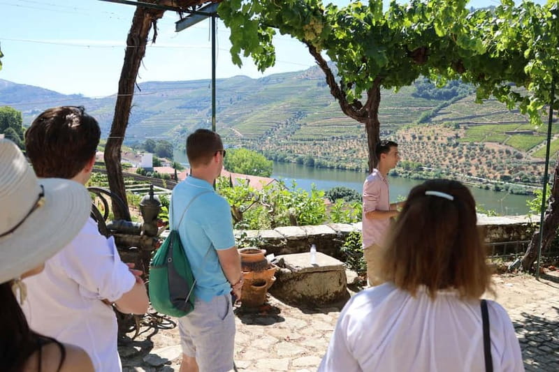 Porto: Douro Valley Wine Tour with Tastings, Lunch & Cruise - The N222 drive back through the valley