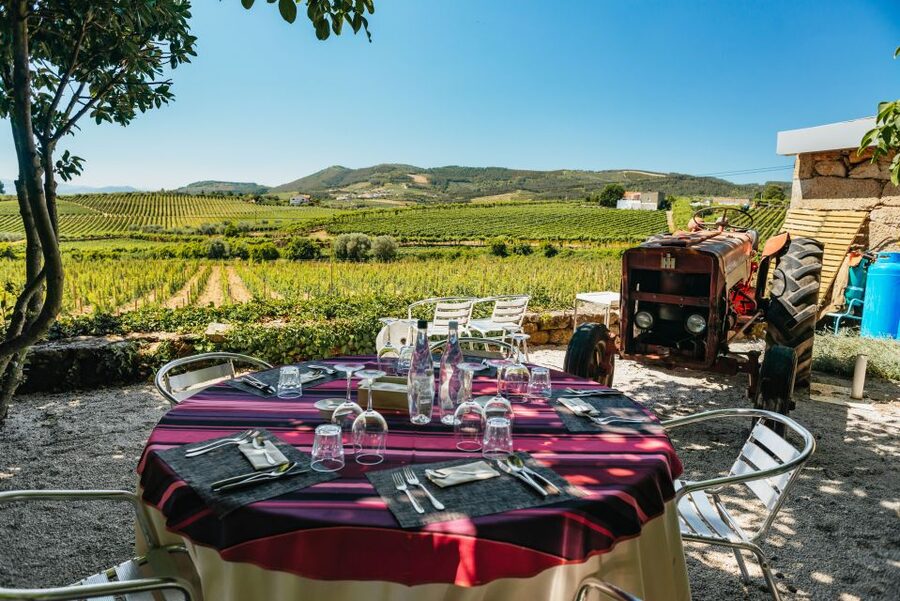 Porto: Douro Valley with Winery Lunch, Tastings & Cruise - The second estate and the final tastings