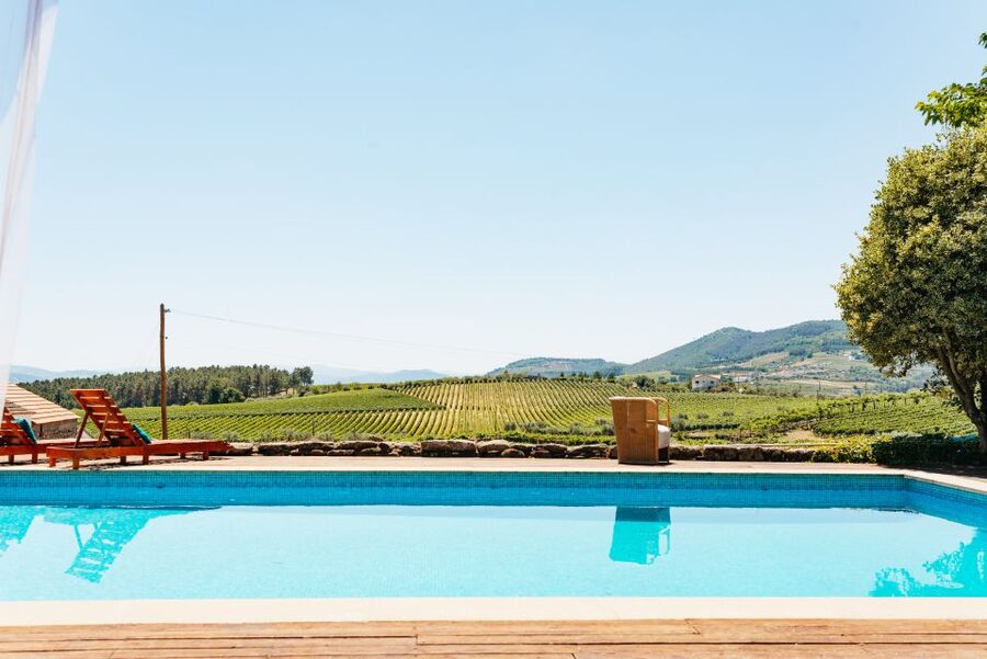 Porto: Douro Valley with Winery Lunch, Tastings & Cruise - Transport, group size, and comfort