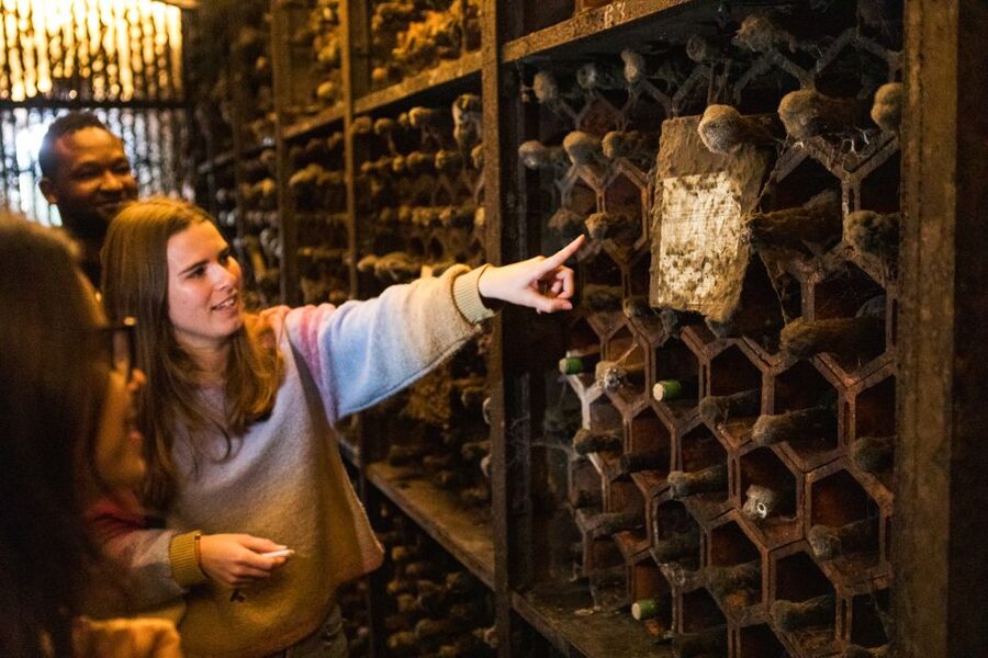 Porto: Food & Wine Tasting Walking Tour with Port Wine Cave - Starting above the Douro at Jardim do Morro