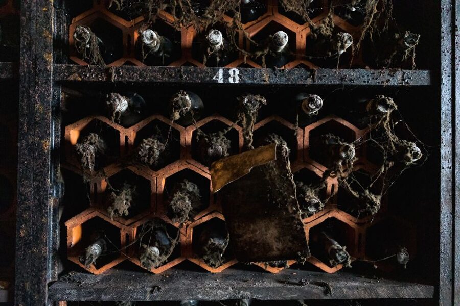 Porto: Food & Wine Tasting Walking Tour with Port Wine Cave - How the walking route affects the day