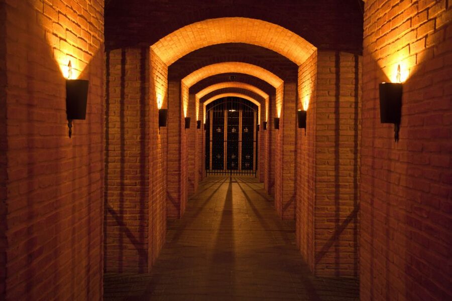 Porto: Graham's Port Lodge Tour & Vintage Room Wine Tasting - The Vintage Room tasting