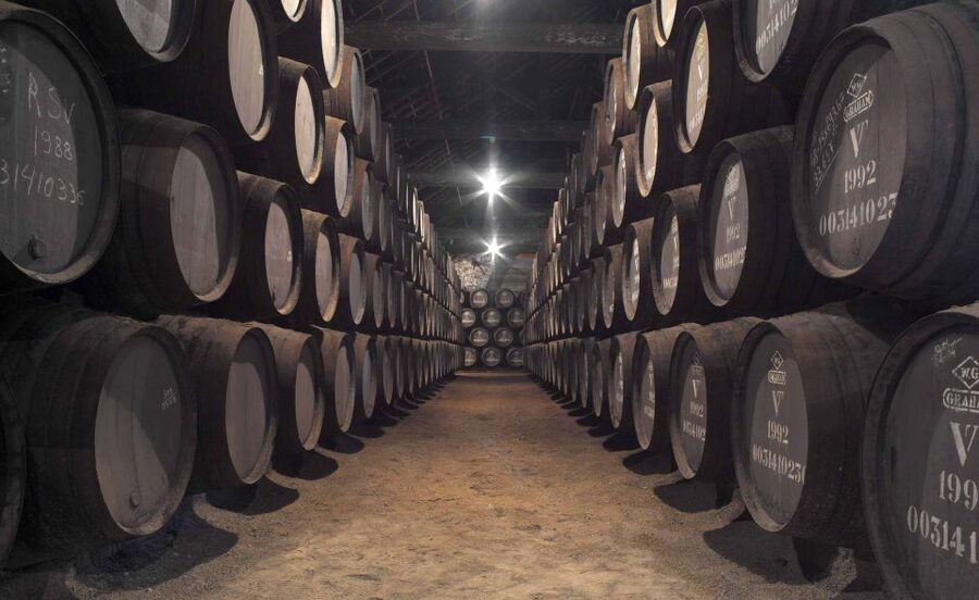 Porto: Graham's Port Lodge Tour & Vintage Room Wine Tasting - Is $70 good value?