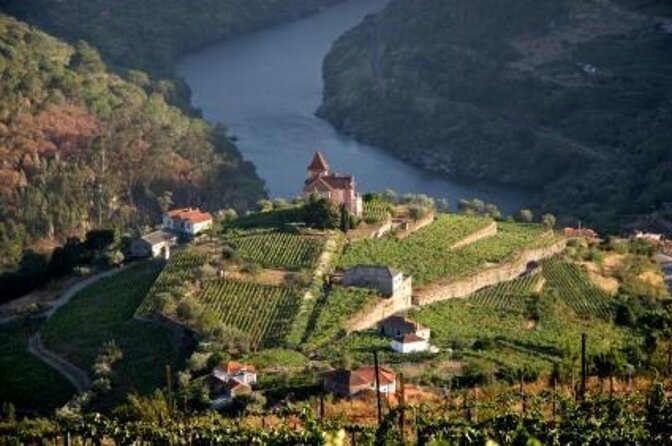 Porto: Port and Douro Wine Walking Tour With 9 Wine Tastings - Key points to know before booking