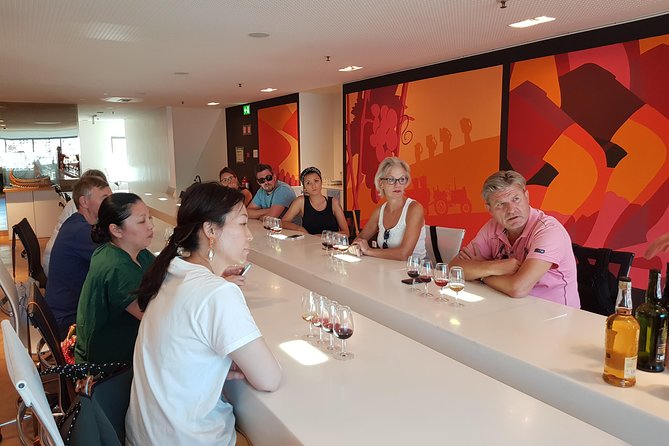 Porto: Port and Douro Wine Walking Tour With 9 Wine Tastings - Solar dos Dragos and the Douro connection