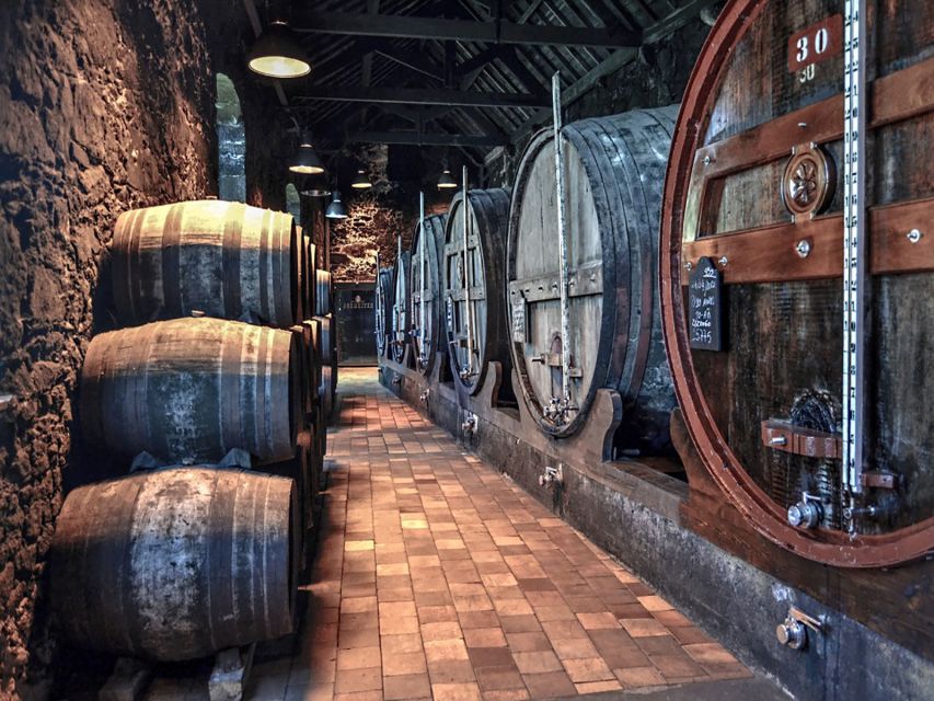 Porto: Self-Guided Bike and Boat Tour with Port Wine Tasting - Lunch or a regional snack in Afurada