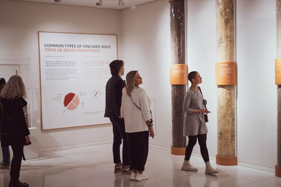 Porto: The Wine Experience, Best Wine Museum in the World - The tasting: red, white, and Port