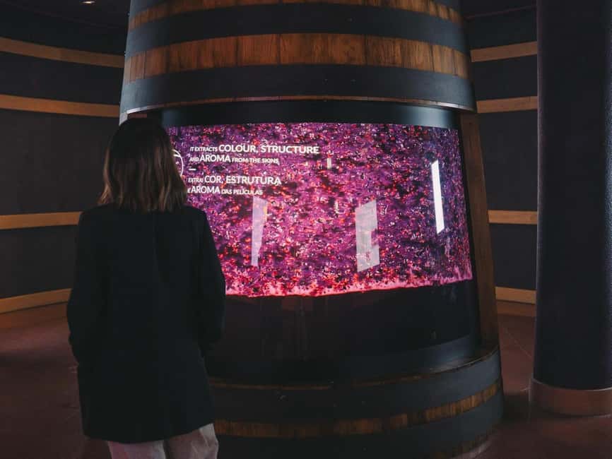 Porto: The Wine Experience, Best Wine Museum in the World - How long should you plan?