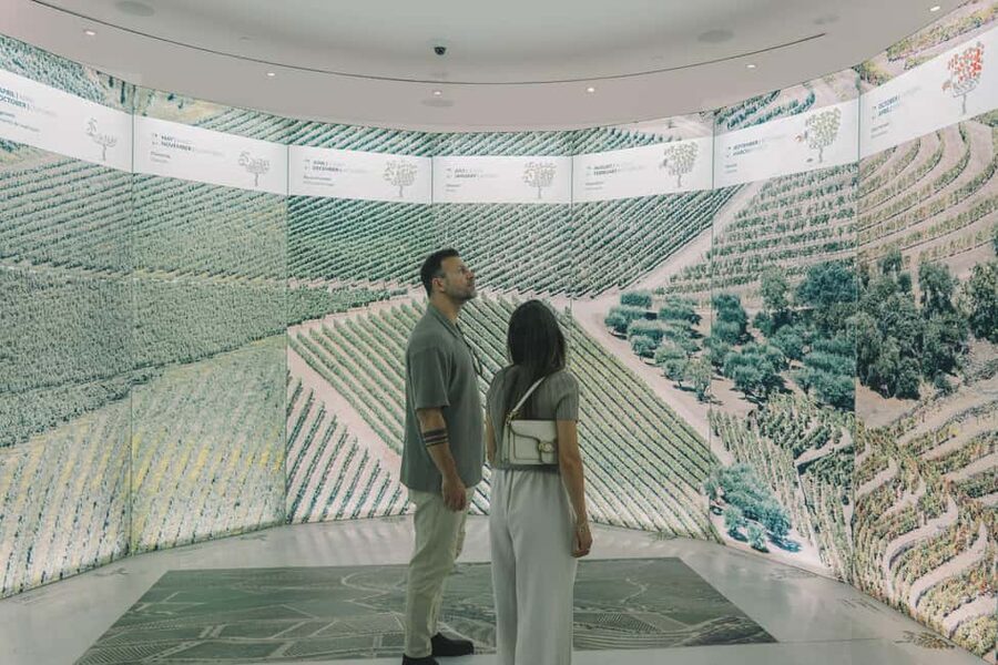 Porto: The Wine Experience, Best Wine Museum in the World - Price, value, and what you actually receive