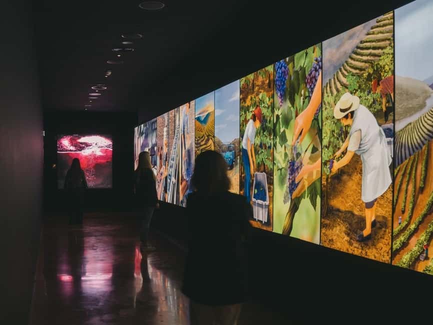 Porto: The Wine Experience, Best Wine Museum in the World - Accessibility and practical comfort