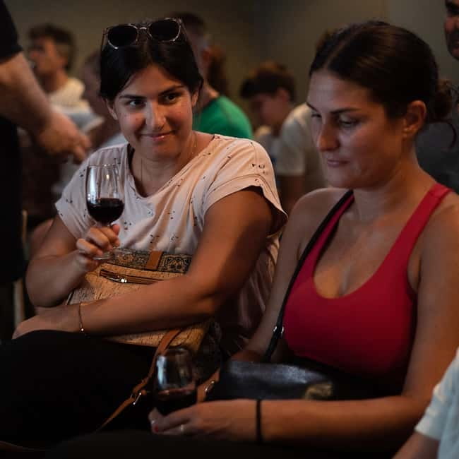 Porto: What is Fado? Commented Live Concert with Port Wine - From tradition to contemporary Fado