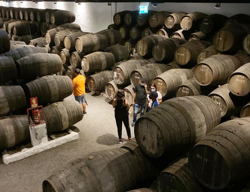 Porto: Wine Tasting with Tapas Walking Tour - Is the $53 price good value?