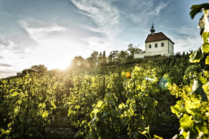 Prague´s Hidden Vineyards Private Tour - What the $240.66 price means