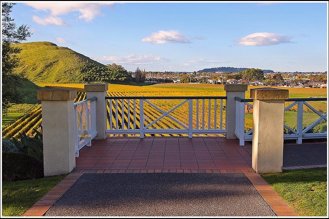 Premium 4 -Best Wineries Napier Hawke's Bay Tour, 5.5h - 6Hours - Four Hawke’s Bay wineries in one well-paced afternoon