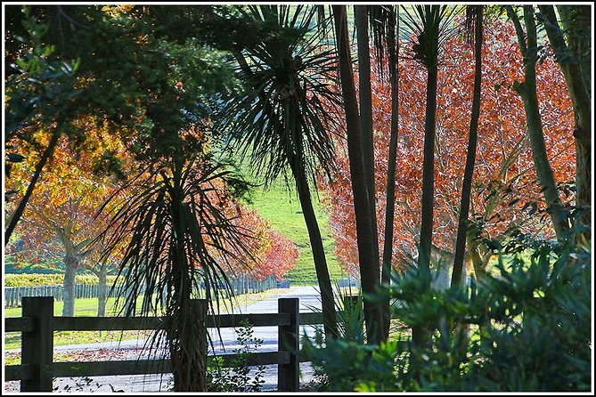 Premium 4 -Best Wineries Napier Hawke's Bay Tour, 5.5h - 6Hours - Lunch is included, but manage your expectations