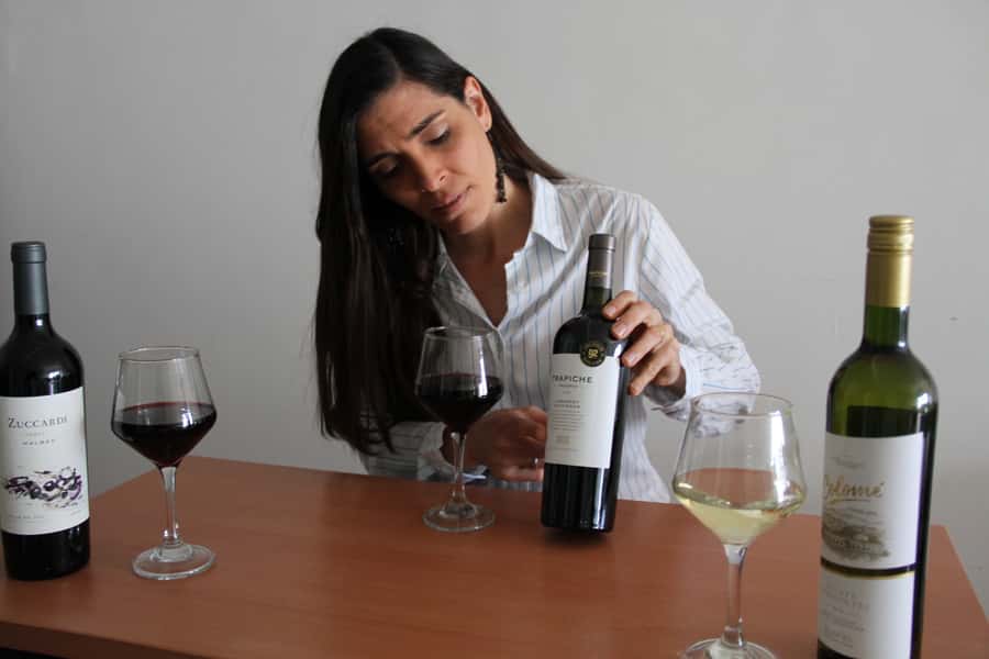 Premium Argentinian Wines and Malbec Tasting Experience - What the schedule feels like from start to finish