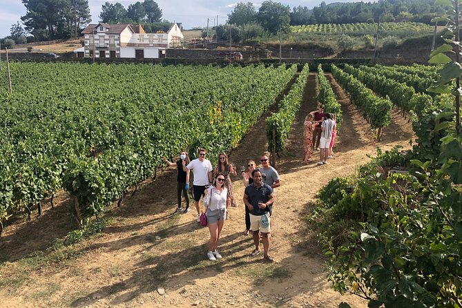Premium Douro Valley Small-Group Tour, Wine Tasting, Lunch & Boat - Why this Douro Valley tour works well from Porto