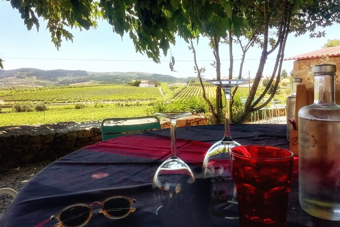 Premium Douro Valley Small-Group Tour, Wine Tasting, Lunch & Boat - The road from Porto to the Douro Valley