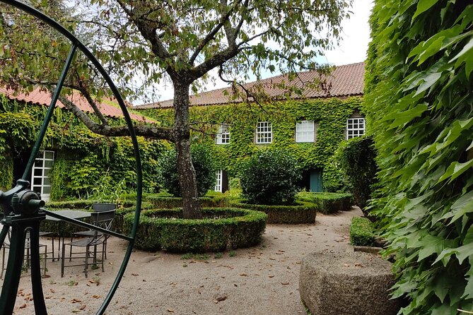 Premium Douro Valley Small-Group Tour, Wine Tasting, Lunch & Boat - Small-group atmosphere and the guides