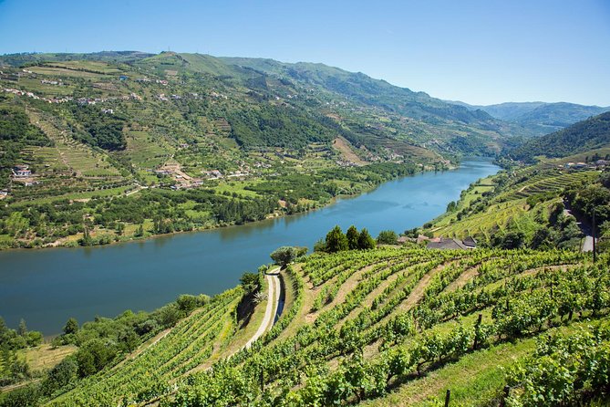 Premium Douro Valley Small-Group Tour, Wine Tasting, Lunch & Boat - Pinhão, the Douro River, and a wooden boat